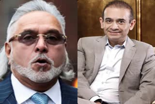 Vijay Mallya, Nirav Modi