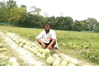 mechanical engineer asadullah rahman doing technical farming