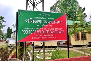 pobitora-wildlife-sanctuary-has-closed