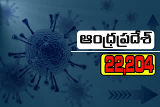 22,204 new more corona cases reported in andhrapradesh