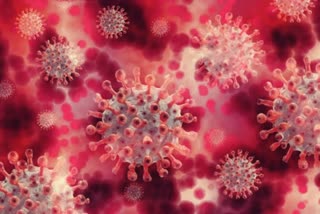 news coronavirus cases in states