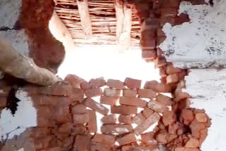 Elephants sabotage Rajdah Dham temple complex in giridih