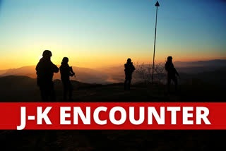 J-K encounter: 3 killed, newly recruited Al-Badr terrorist surrenders