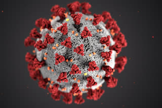 new-variant-of-coronavirus