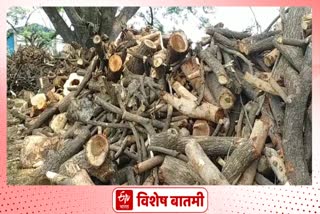 shortage of wood for cremation in Kolhapur