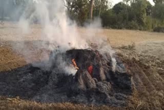 Fire in wheat gathered during thrashing in Loharpura Panchayat