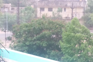 jaipur news, light rain in many districts