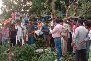 wo children died after being buried tree in Seraikela