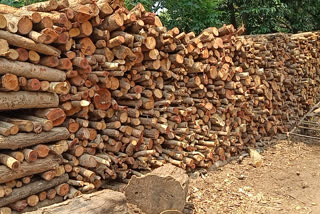 Woods no shortage, Woods no shortage to cremation, Woods no shortage to cremation in Belagavi, Belagavi news, Belagavi corona news, ಶವಸಂಸ್ಕಾರಕ್ಕೆ ಬಳಸುವ ಕಟ್ಟಿಗೆಗೆ ಎದುರಾಗಿಲ್ಲ ಅಭಾವ, ಬೆಳಗಾವಿಯಲ್ಲಿ ಶವಸಂಸ್ಕಾರಕ್ಕೆ ಬಳಸುವ ಕಟ್ಟಿಗೆಗೆ ಎದುರಾಗಿಲ್ಲ ಅಭಾವ, ಬೆಳಗಾವಿ ಸುದ್ದಿ, ಬೆಳಗಾವಿ ಕೊರೊನಾ ಸುದ್ದಿ,