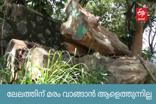 ഇടുക്കി റവന്യു ഭൂമി  വനം വകുപ്പ്  Idukki  Revenue land  ഇടുക്കി  Big trees  Udumbinchola