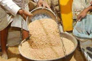 Purchase of 10 lakh metric tonnes of wheat in Jaipur