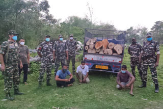 Baksa illegal wood seized