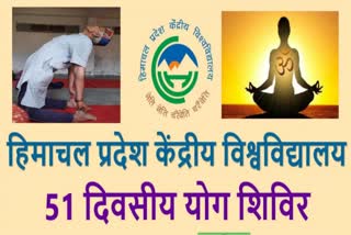 Srinivas Murthy will give online yoga training from tomorrow in Central University's 51-day yoga camp