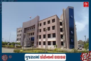 ડાંગ કોરોના અપડેટ