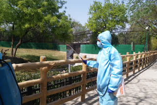 samples-of-wildlife-sent-for-corona-test-in-delhi-zoo