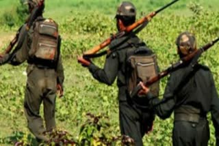 Security forces arrested 5 Naxalites in Bastar, involved in many incidents