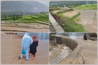 Ganderbal: Cloud burst in upper area of Akhal Kangan damaged several paddy fields