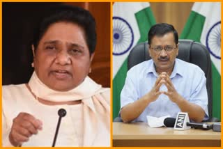 mayawati targets kejriwal government