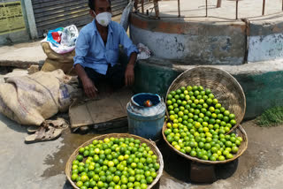 Demand for lemons in corona infection has increased in jamtara