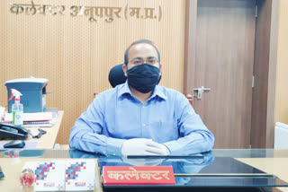 Anuppur Collector