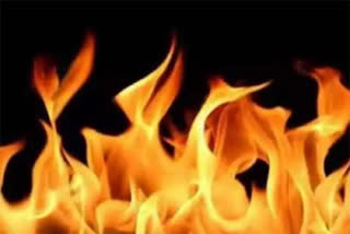 Three children burnt alive as truck catches fire in Rajasthan