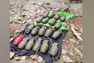 Security forces recover 19 grenades from J-K's Poonch