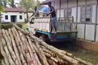 illegal-timber-seized-at-goalpara