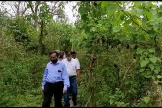 tree-plantation-scheme-in-dhemaji-make-sandy-land-forested