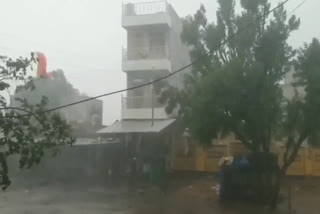 Damage due to rain in Dhaulpur