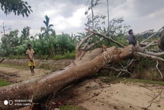 strom-hit-west-karbi-anglong