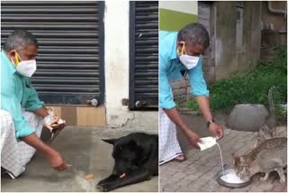 lockdown  Lock down kerala  ലോക്ക്ഡൗണ്‍  Abdu feeds cats and stray dogs at lockdown  പുല്‍പ്പള്ളിയില്‍  വയനാട്  Wayanad  തെരുവ് നായ  Covid