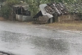 unseasonal rains in Jabalpur