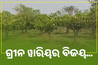 ହେନ୍ତାଳବଣ ସୃଷ୍ଟି କରି ଚର୍ଚ୍ଚାରେ କେନ୍ଦ୍ରାପଡ଼ାର ବିଜୟ, ପ୍ରଶଂସା କଲେ ପ୍ରଧାନମନ୍ତ୍ରୀ