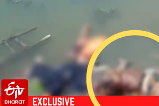 Scores of dead bodies float in the Ganges River near Buxar in Bihar