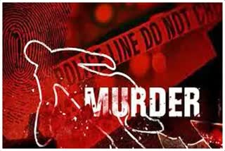 Husband murdered his wife in Jodhpur,  Rajasthan News