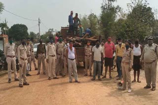 villagers cut fourty five trees