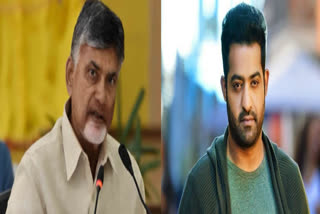 cbn ntr