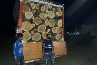 नीम की गीली लकड़ियों की तस्करी करते आरोपी गिरफ्तार, Accused arrested for smuggling neem's wet wood