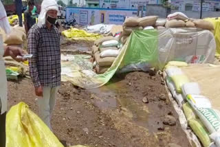 Wheat became wet due to rain