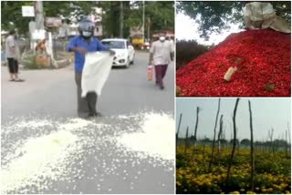 farmers-through-flowers-to-the-road-in-bangalore