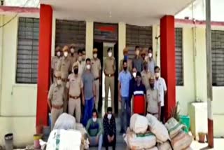 गांजे की तस्करी  क्राइम इन झालावाड़  अवैध कार्य  क्राइम न्यूज  jhalawar news  crime in rajasthan  crime news  Illegal drugs  Hemp smuggling