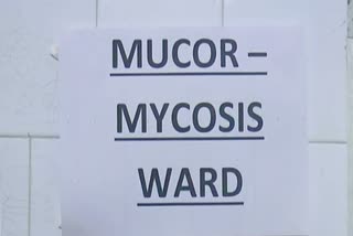 Mucormycosis treatment at home