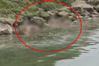 Corpses found floating in Ganga for second day in a row