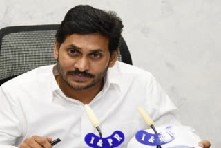 Andhra govt announces Rs 10 lakh compensation to kin of 11 COVID victims