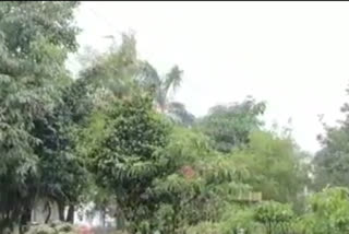 meteorological department predicts rain again in madhya pradesh bhopal