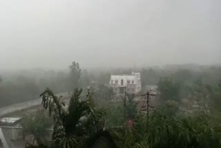 DAMAGE OF CROPS DURING UNSEASONAL RAIN