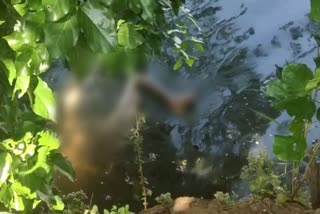 Corpses found in river Ranjh