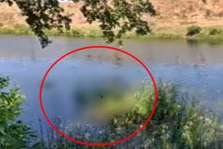 Floating corpses in MP river create panic among locals