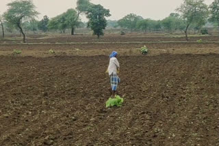 poor-and-bad-condition-of-farmers-in-chhattisgarh