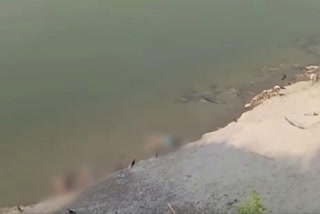 Scores of dead bodies again found floating in Ganges River